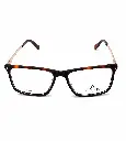 MG6207-1.webp